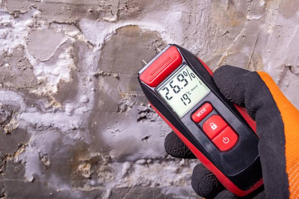 Best Post-Remediation Services in Colma, CA