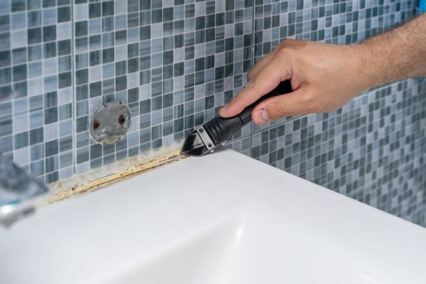 Best DIY Mold Remediation Support Services in Colma, CA